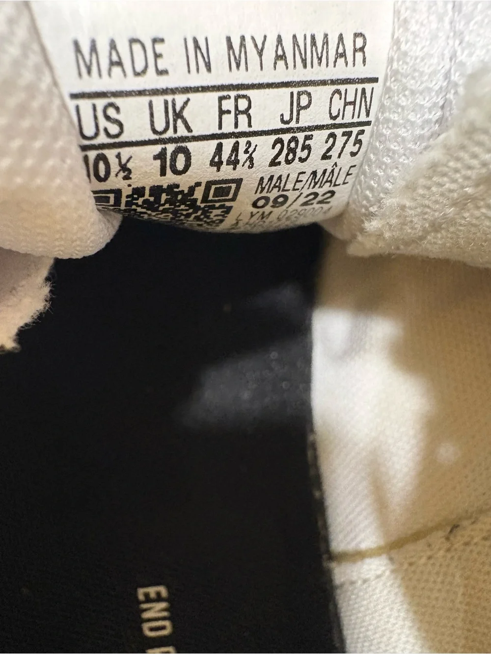 adidas White Canvas Sneakers with Gum Outsole and Gold Heel Tab
